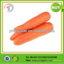 2014 Good Fresh Carrot